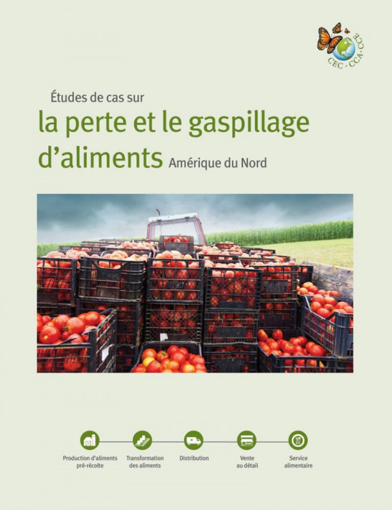 Rapports Sur La Perte Et Le Gaspillage Daliments Initiatives Sur Les Déchets Alimentaires Et 