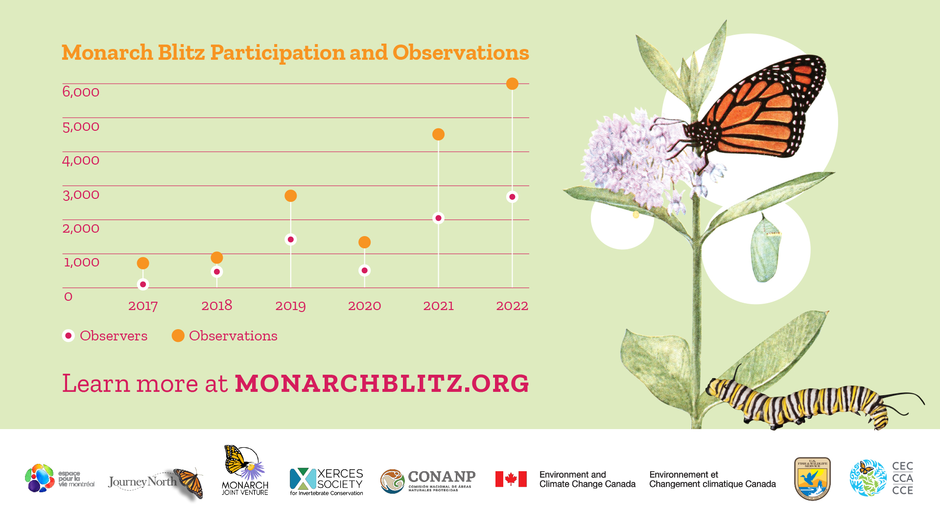 International Monarch Monitoring Blitz