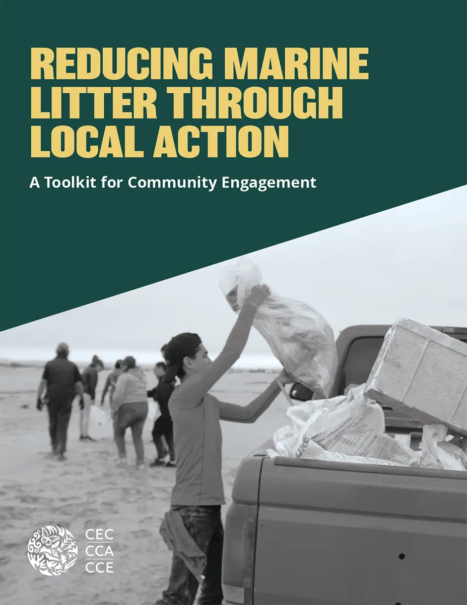 Reducing marine litter through local action