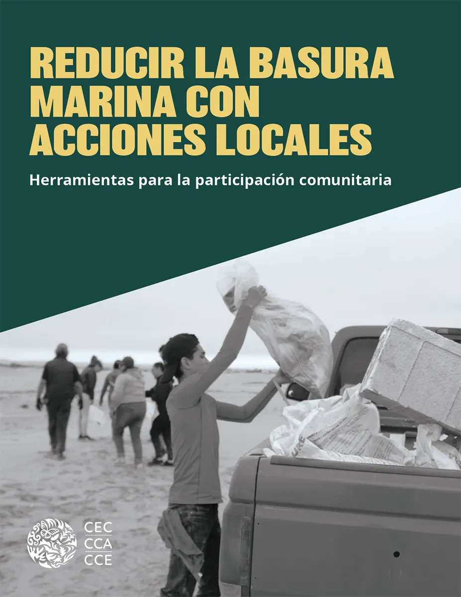 Reducir la basura marina con acciones locales