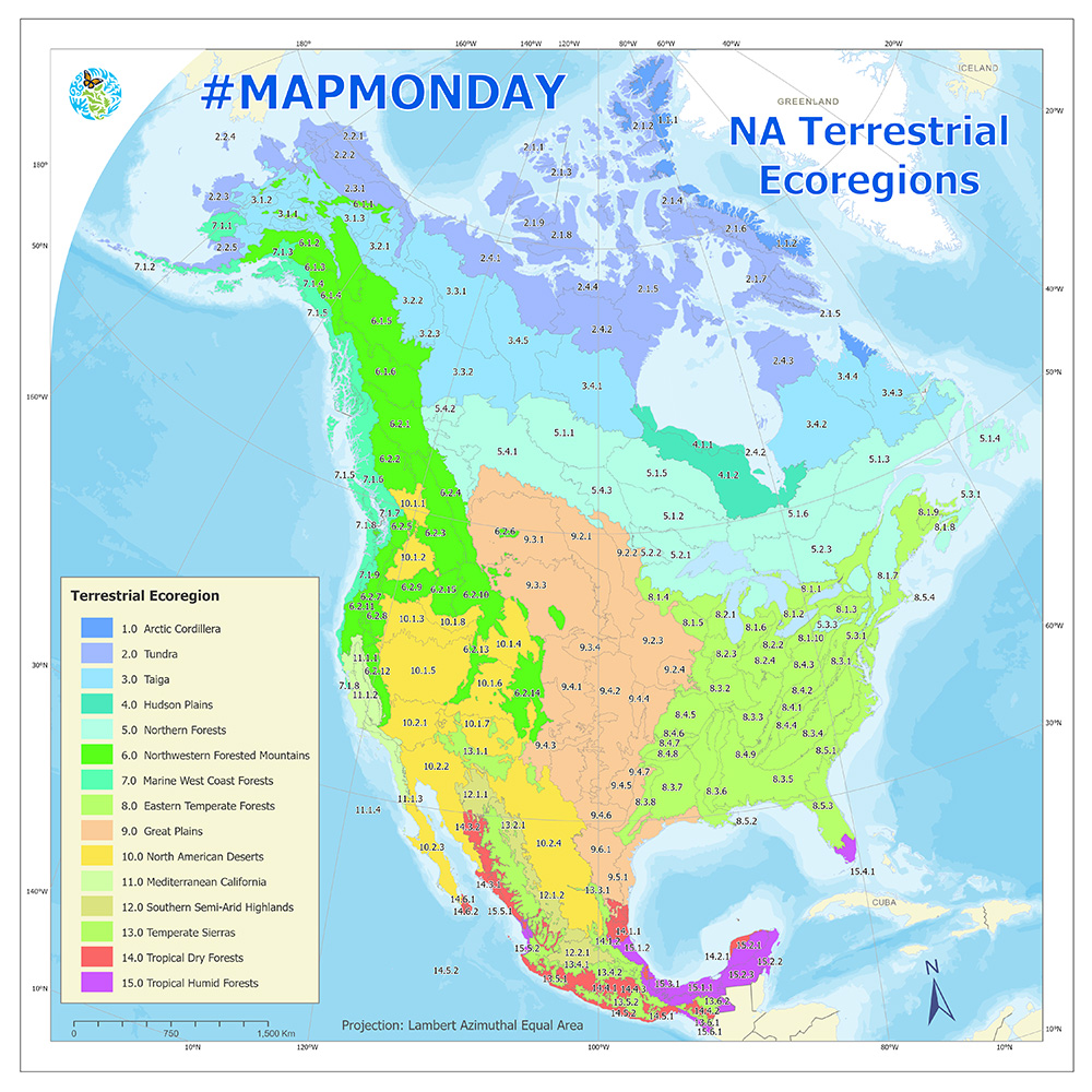 North America's Terrestrial Ecoregions