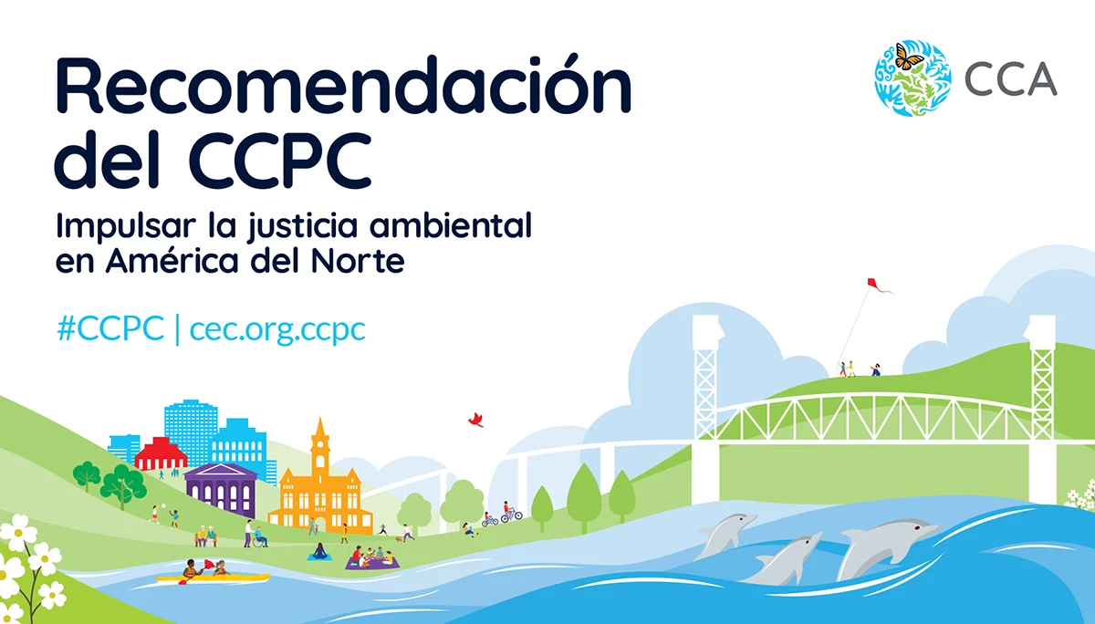 Recomendación del CCPC - Newsletter