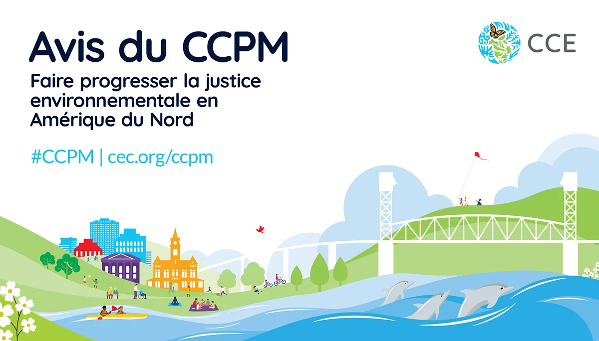 Avis du CCPM - Newsletter