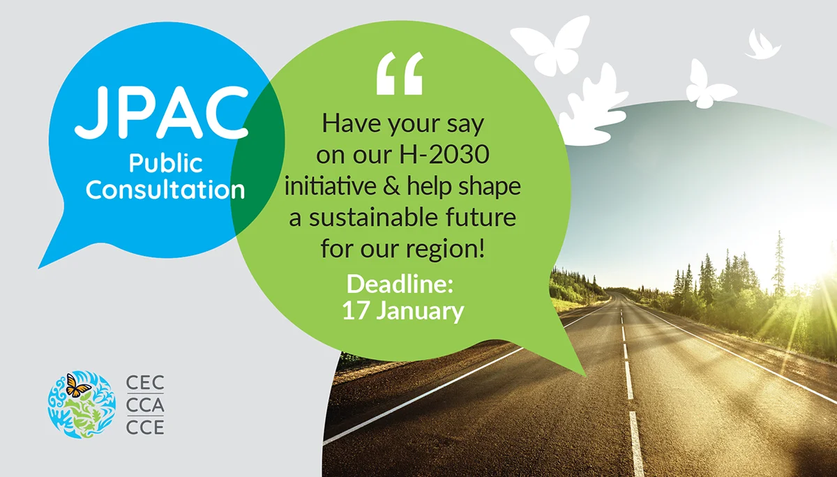 H-2030 initiative