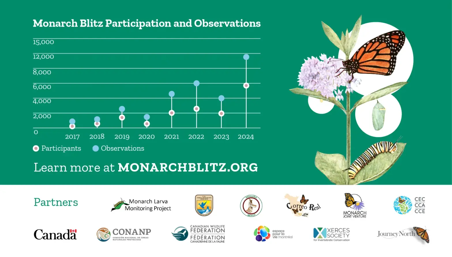 Monarch Blitz 2024