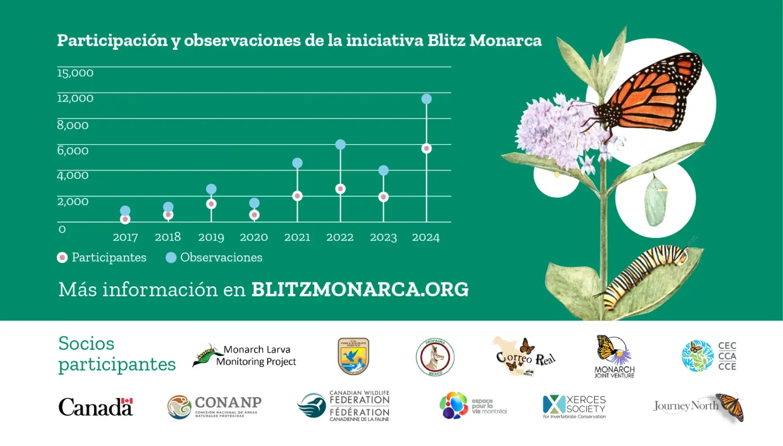 Monarch Blitz 2024