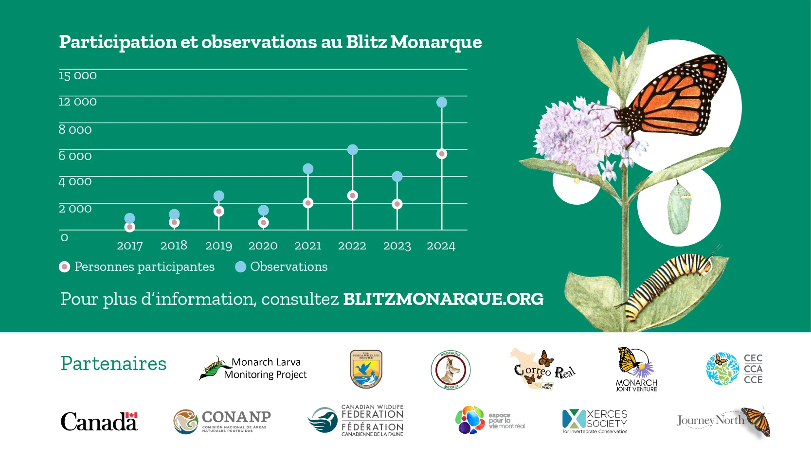 Monarch Blitz 2024