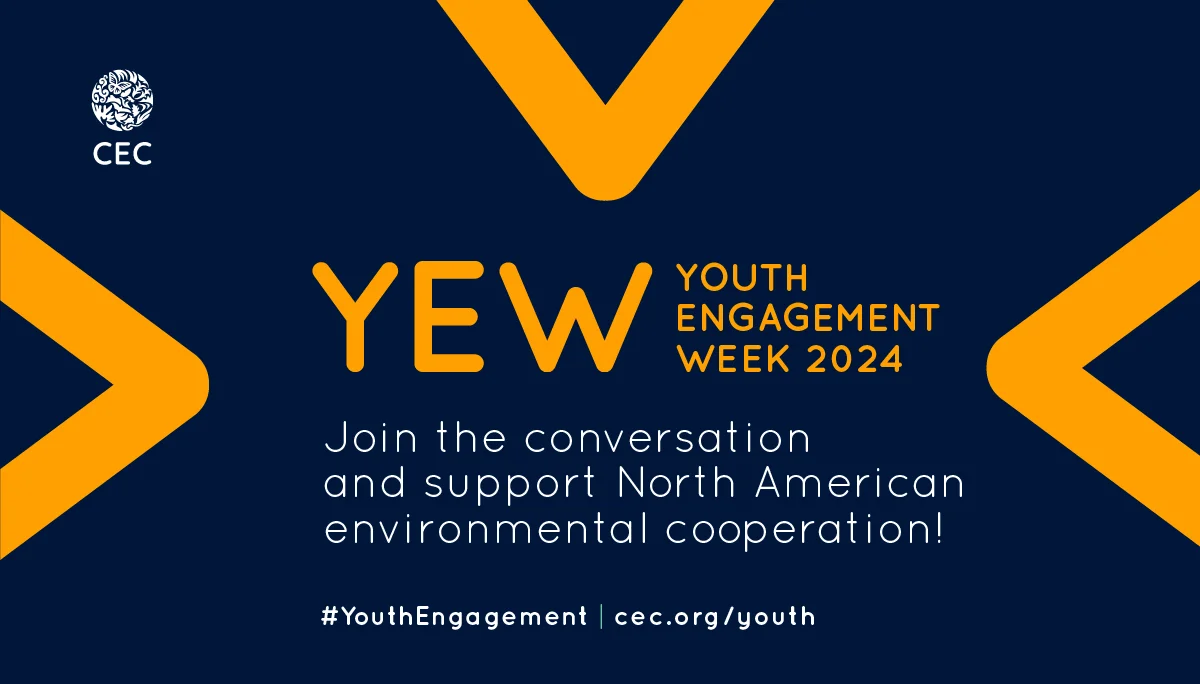 Youth Engagement Week