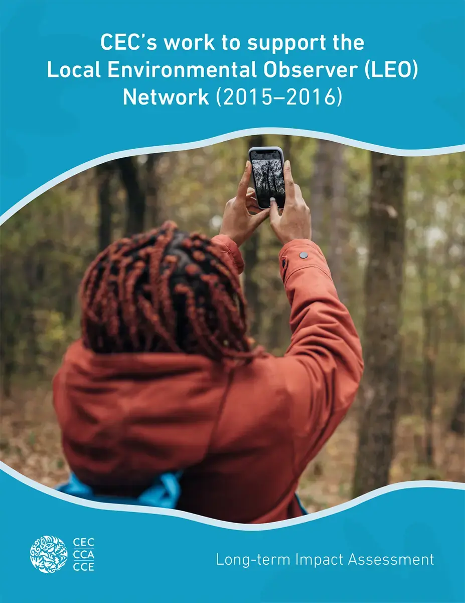 Cover for Executive Summary LEO Network