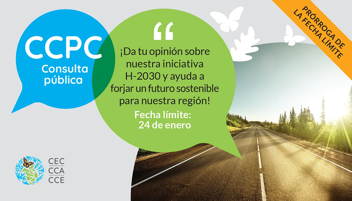 Consulta pública del CCPC