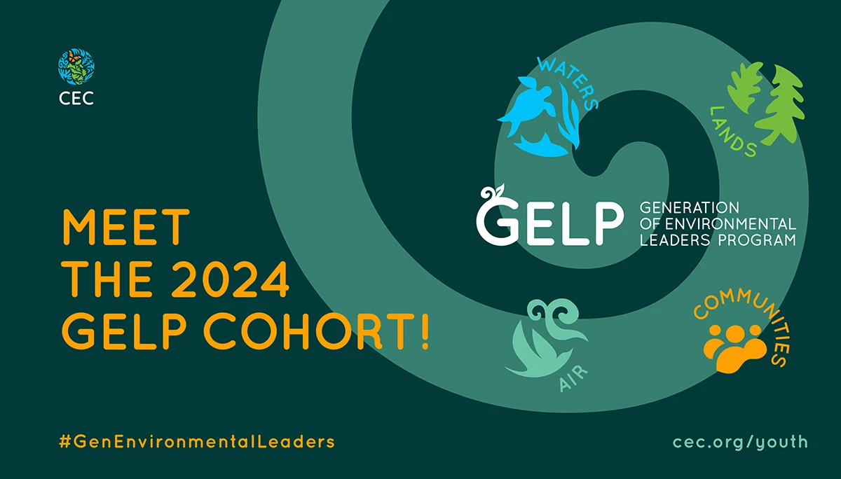 GELp Cohort 2024