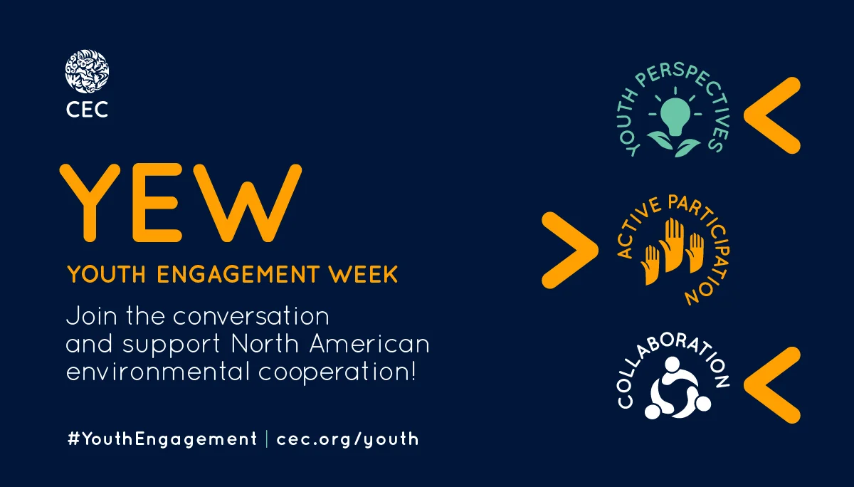 Youth Engagement Week