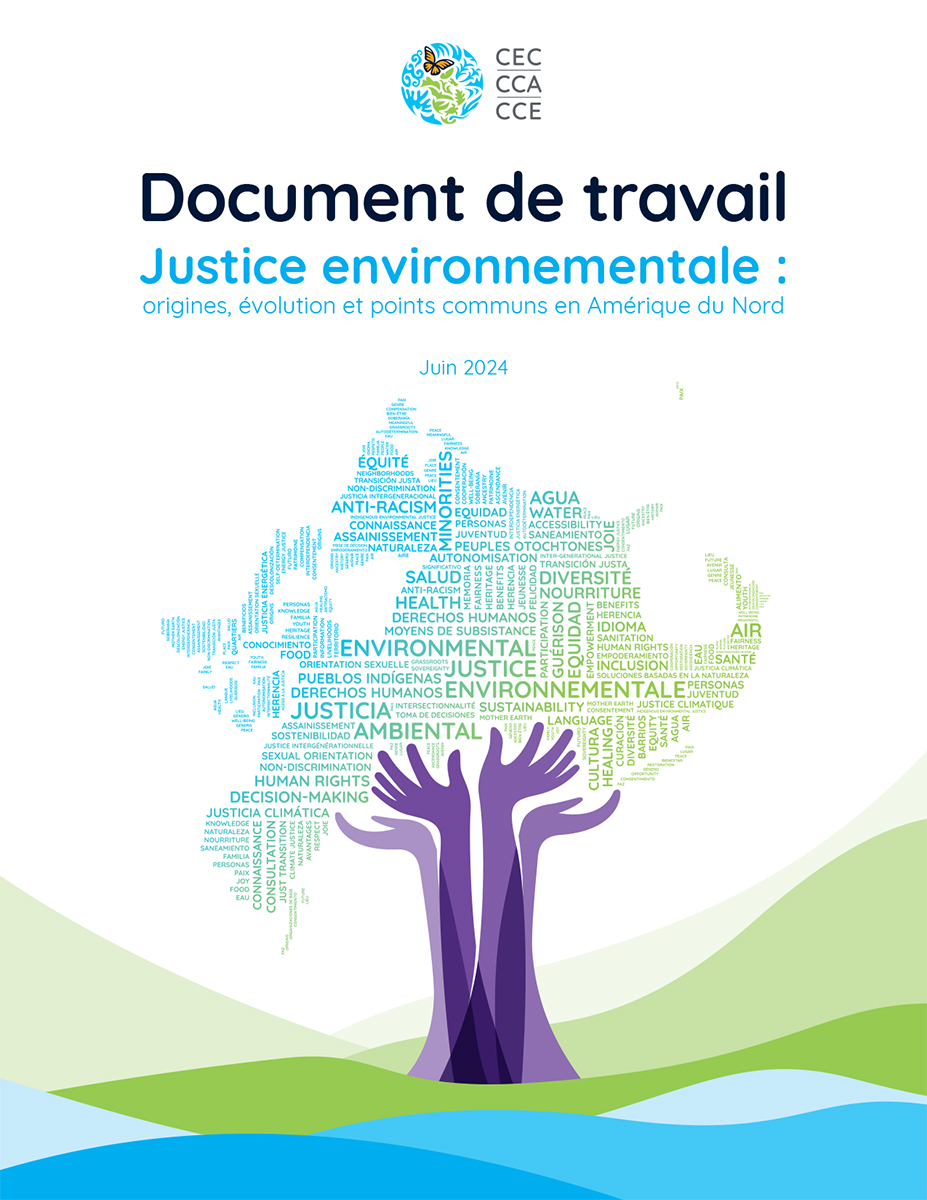 Couverture de la publication