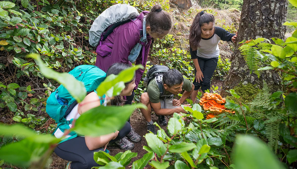 Environmental Education Initiative