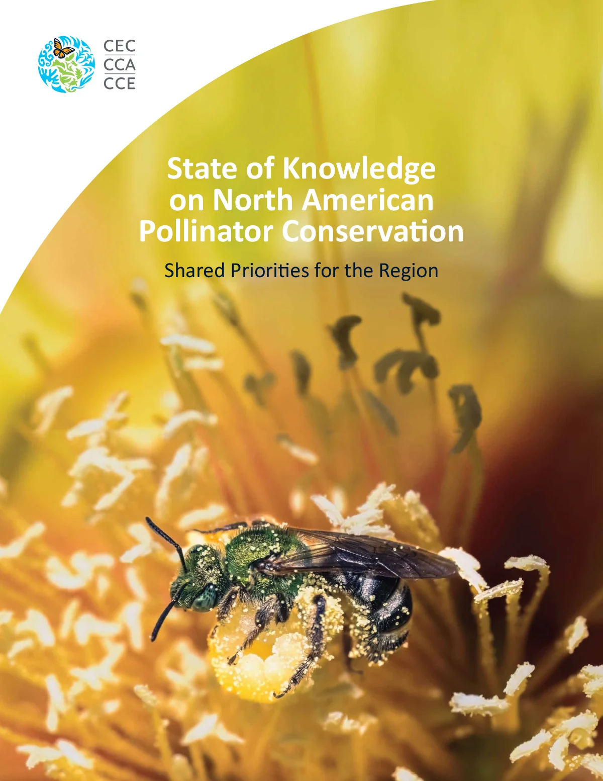 Pollinator Conservation Report